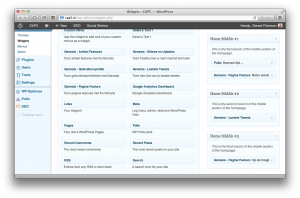 Wordpress thema widget beheer in het dashboard
